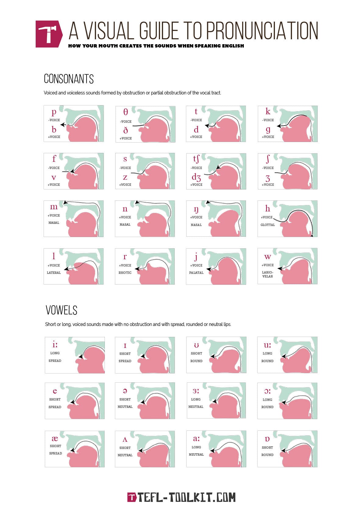 Visual Guide to Pronunciation Poster | English Pronunciation | Virtual Poster - TEFL-Toolkit.com