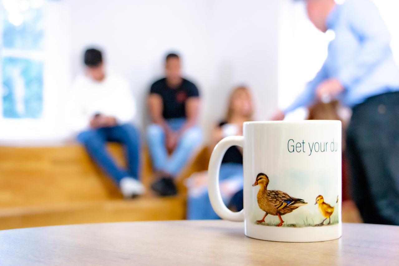 Ducks in a Row - Animal Idiom Mug - Teacher-Toolkit.co.uk