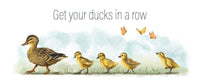 Thumbnail for Ducks in a Row - Animal Idiom Mug - Teacher-Toolkit.co.uk